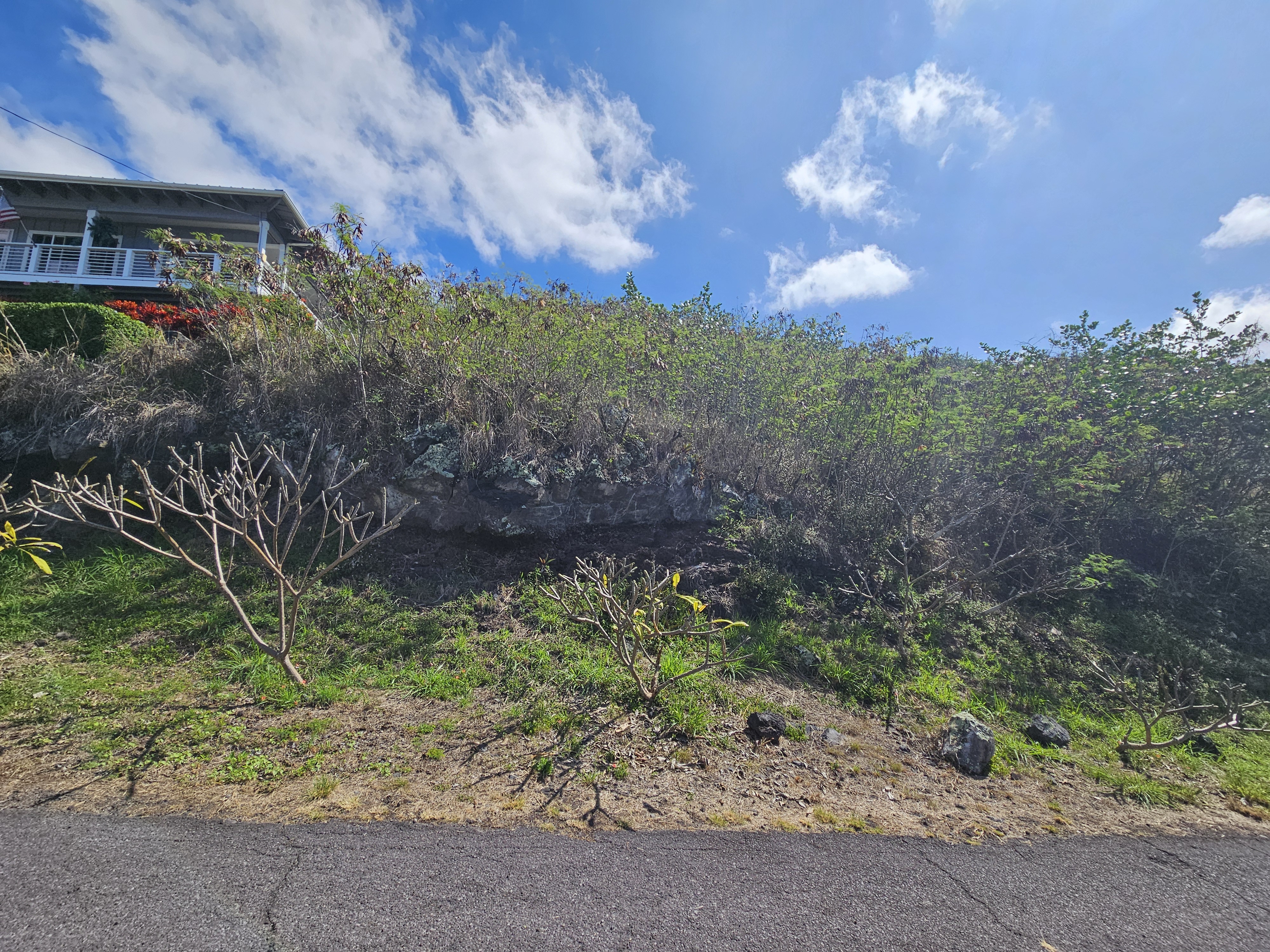 146 Fern Road Captain Cook, HI 96704 - Photo 10 of 14 a view of a pathway with a yard