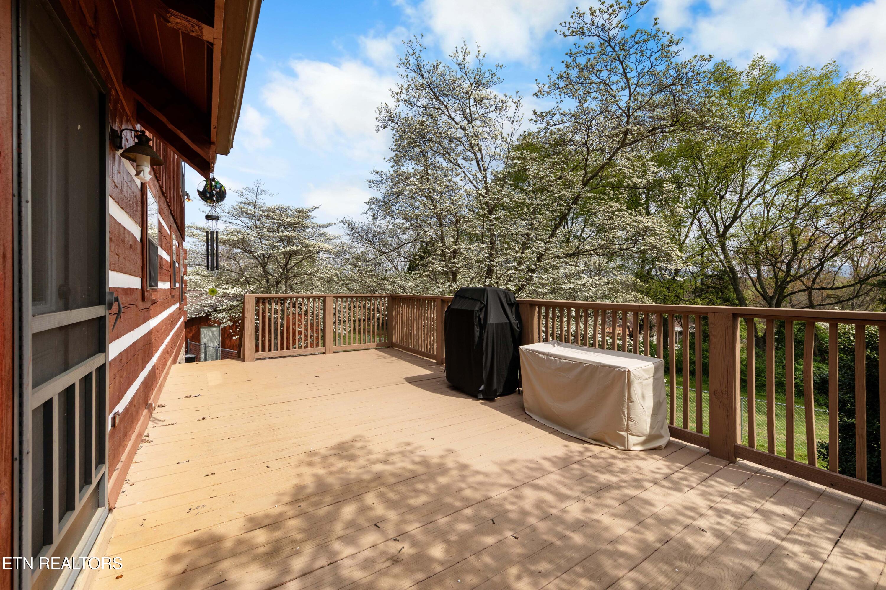 2168 Mountain Vista Road Sevierville, TN 37876 - Photo 29 of 34 030A7545