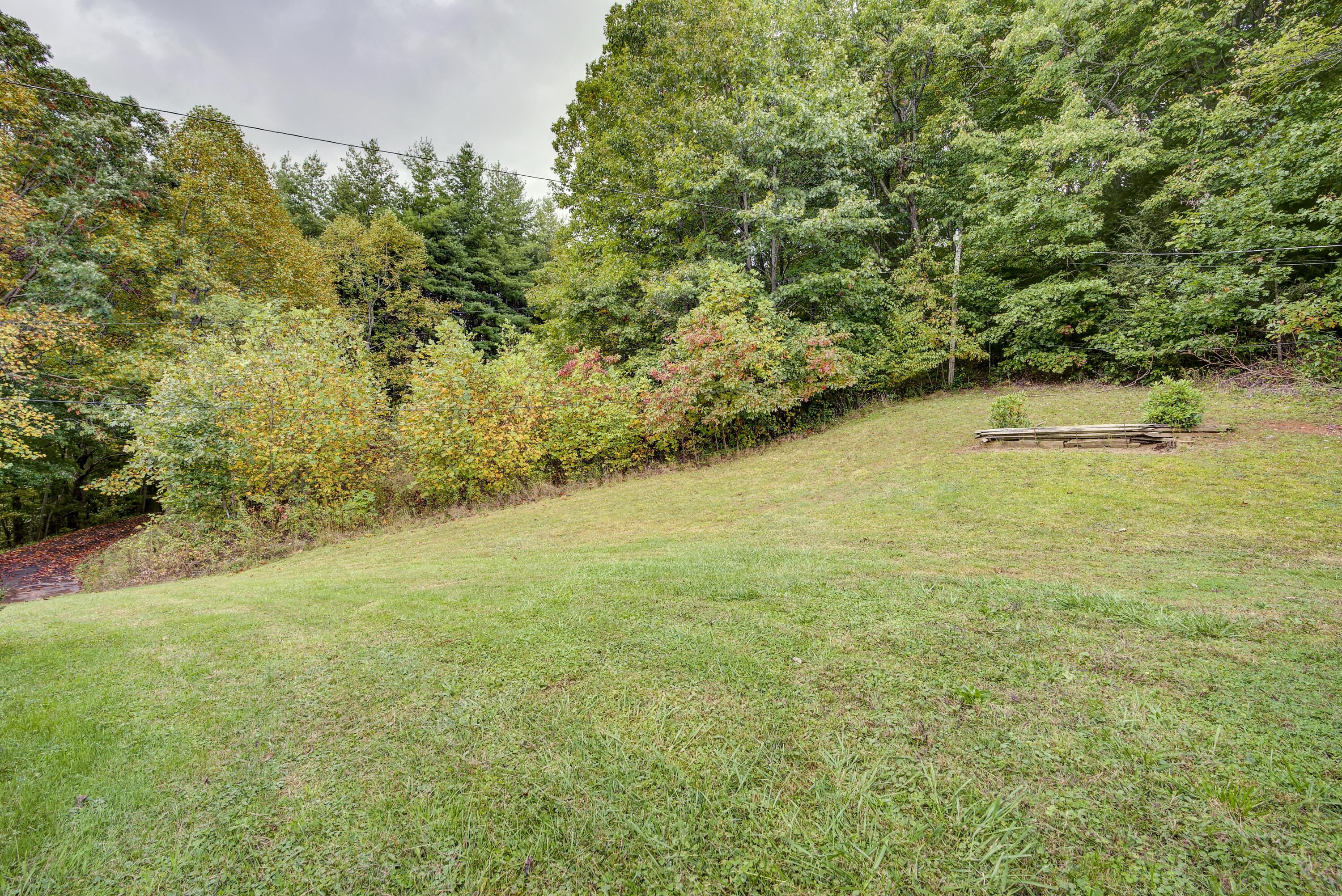 102 Heaton Ridge Road Roan Mountain, TN 37687 - Photo 29 of 37 Heaton-land--4