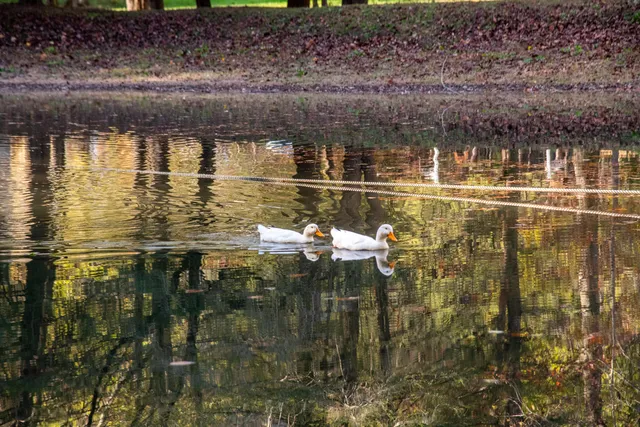 $225,000 | 0 Cherokee Knoll, Chickamauga, GA 30707