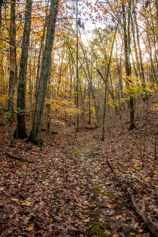 $225,000 | 0 Cherokee Knoll, Chickamauga, GA 30707