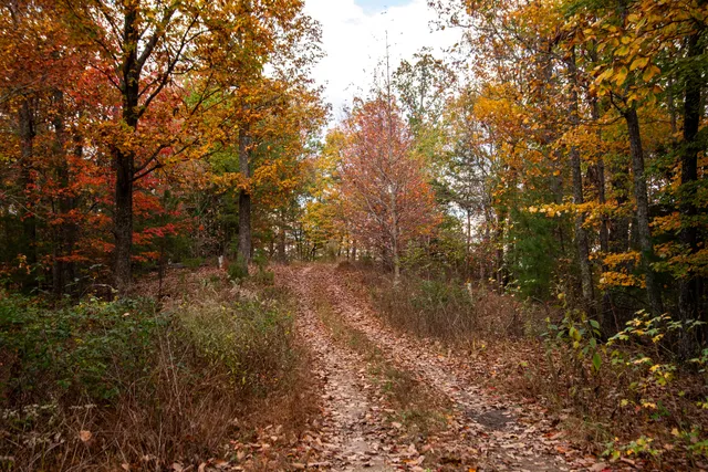 $225,000 | 0 Cherokee Knoll, Chickamauga, GA 30707