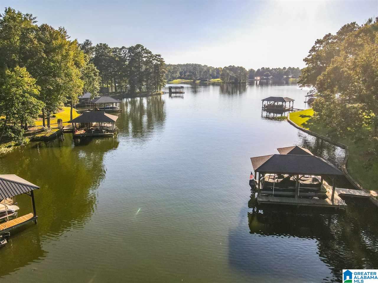 564 Lakeview Circle Alpine, AL 35014 - Photo 44 of 50