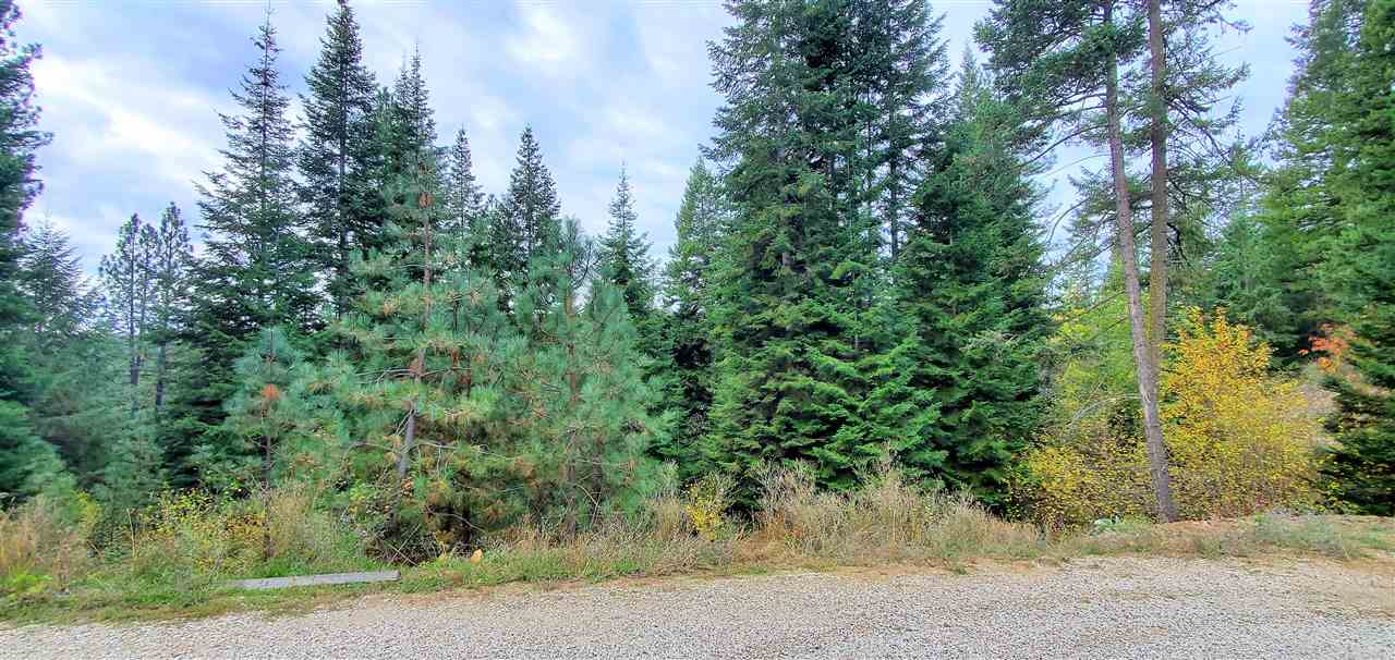 371 Fan Lake Road West Elk, WA 99009 - Photo 41 of 47