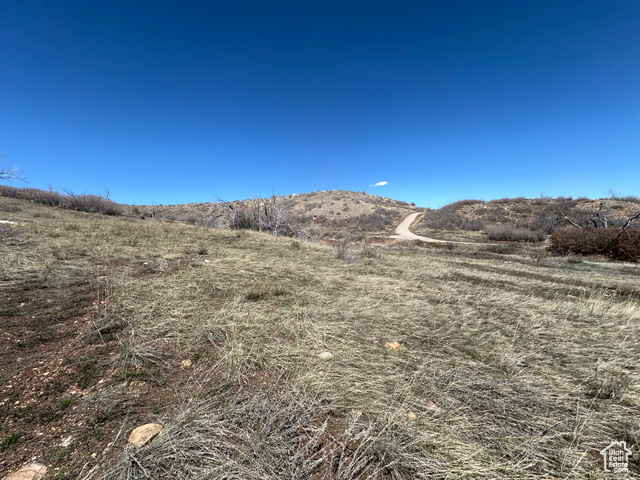 5565 Big Hollow Road Fairview, UT 84629 - Photo 15 of 22