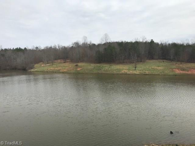 1065 Sunny Ridge Road Walnut Cove, NC 27052 - Photo 8 of 28 Gallery Image 8