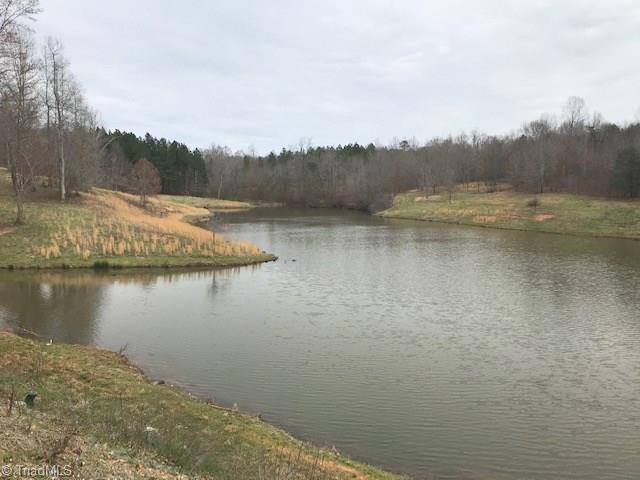1065 Sunny Ridge Road Walnut Cove, NC 27052 - Photo 9 of 28 Gallery Image 9