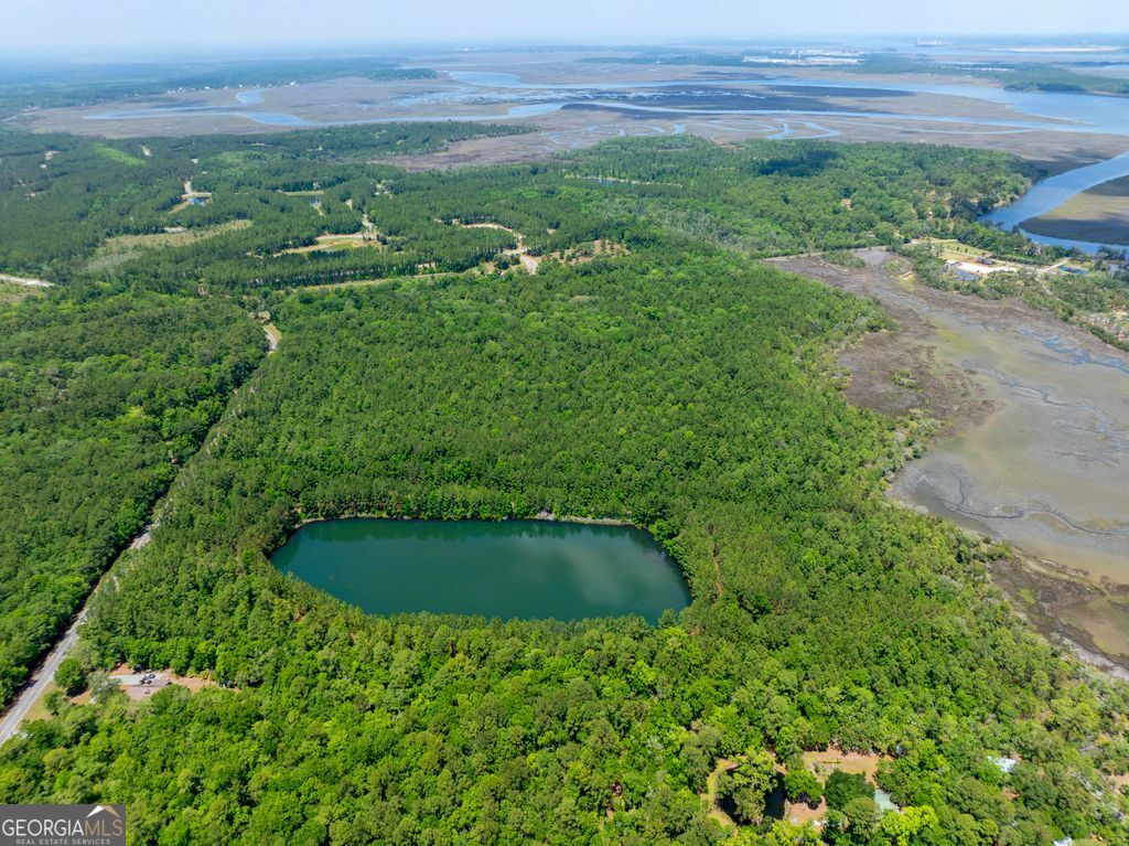 0 21 Acres Dover Bluff Road Waverly, GA 31565 - Photo 1 of 11