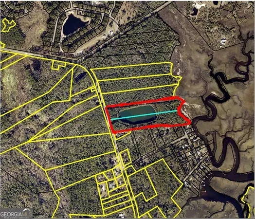 $795,000 | 0 21 Acres Dover Bluff Road, Waverly, GA 31565
