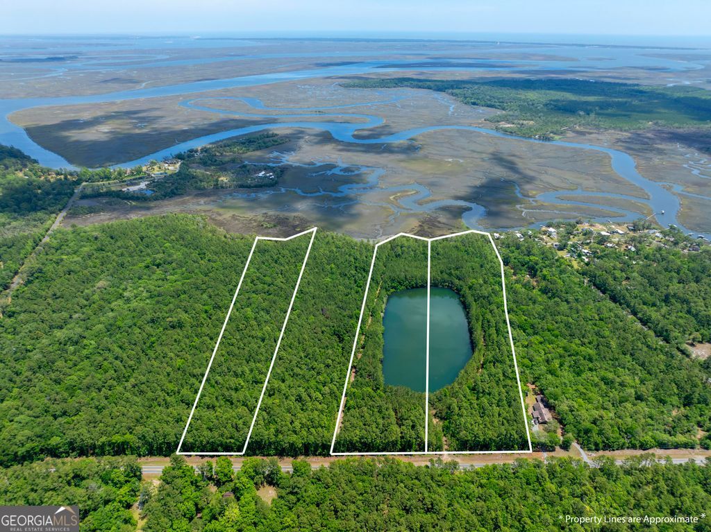0 21 Acres Dover Bluff Road Waverly, GA 31565 - Photo 11 of 11