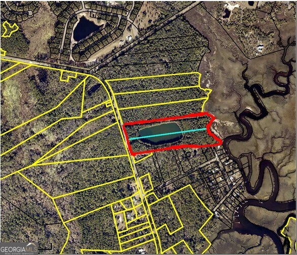 0 21 Acres Dover Bluff Road Waverly, GA 31565 - Photo 2 of 11