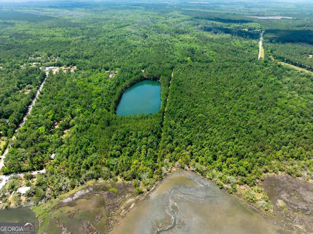 0 21 Acres Dover Bluff Road Waverly, GA 31565 - Photo 3 of 11