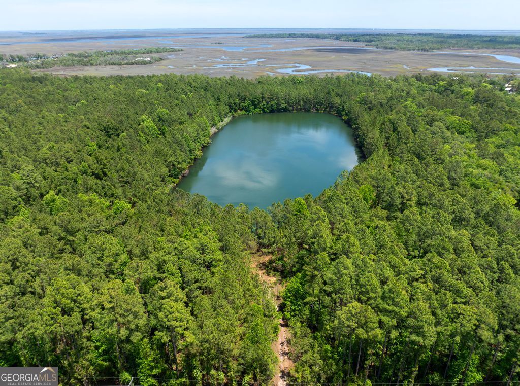 0 21 Acres Dover Bluff Road Waverly, GA 31565 - Photo 4 of 11