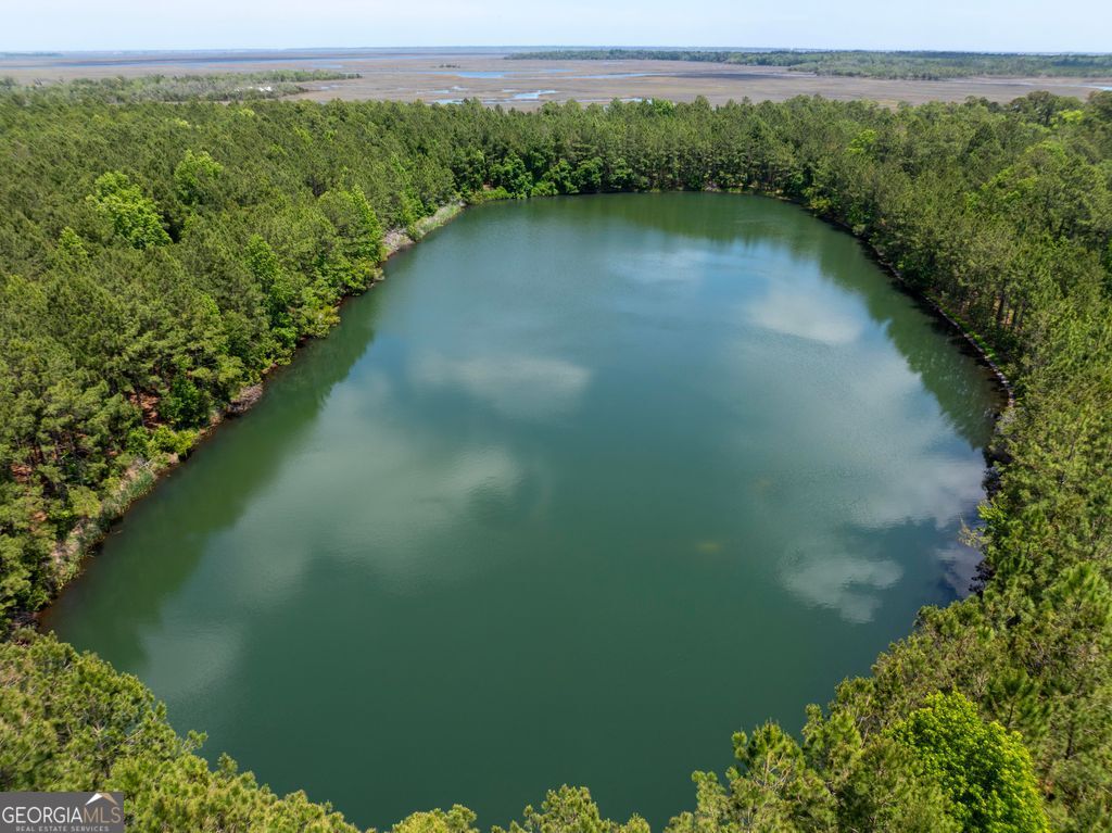 0 21 Acres Dover Bluff Road Waverly, GA 31565 - Photo 5 of 11