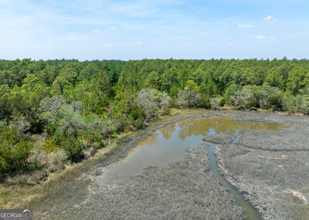 0 21 Acres Dover Bluff Road Waverly, GA 31565 - Photo 6 of 11