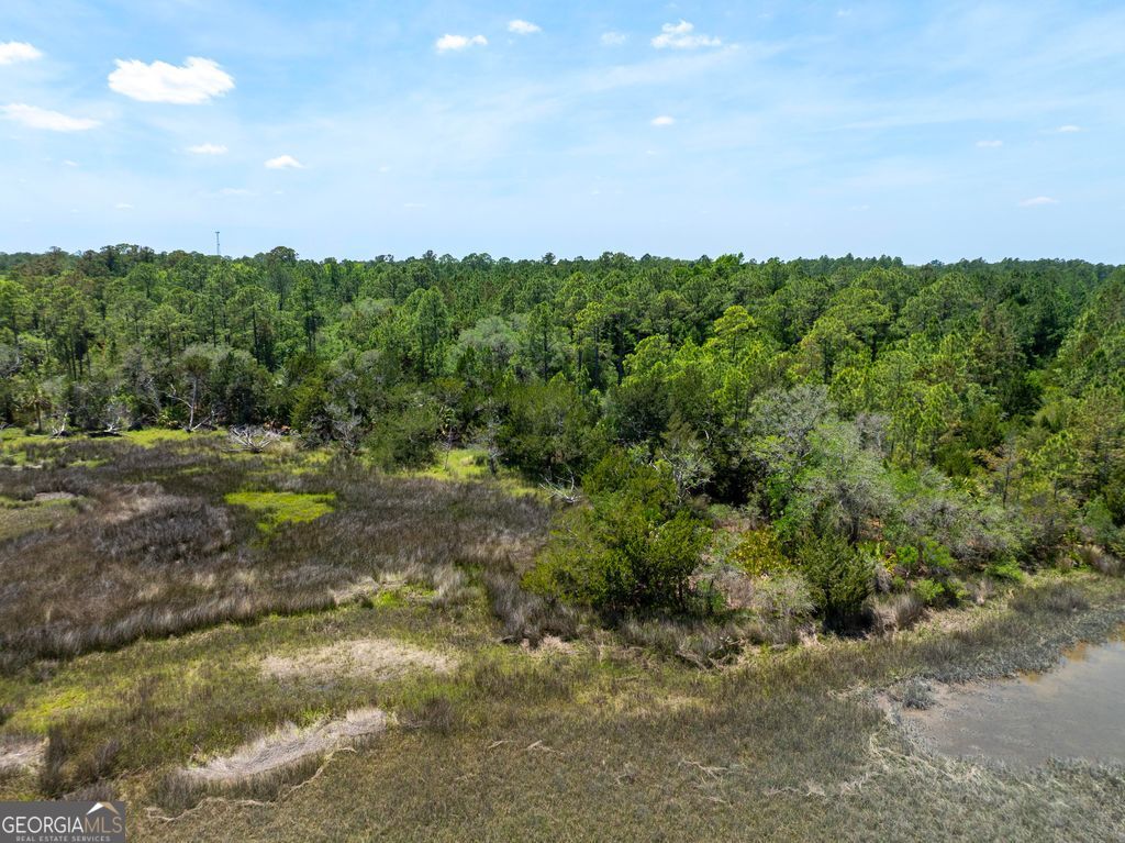 0 21 Acres Dover Bluff Road Waverly, GA 31565 - Photo 7 of 11