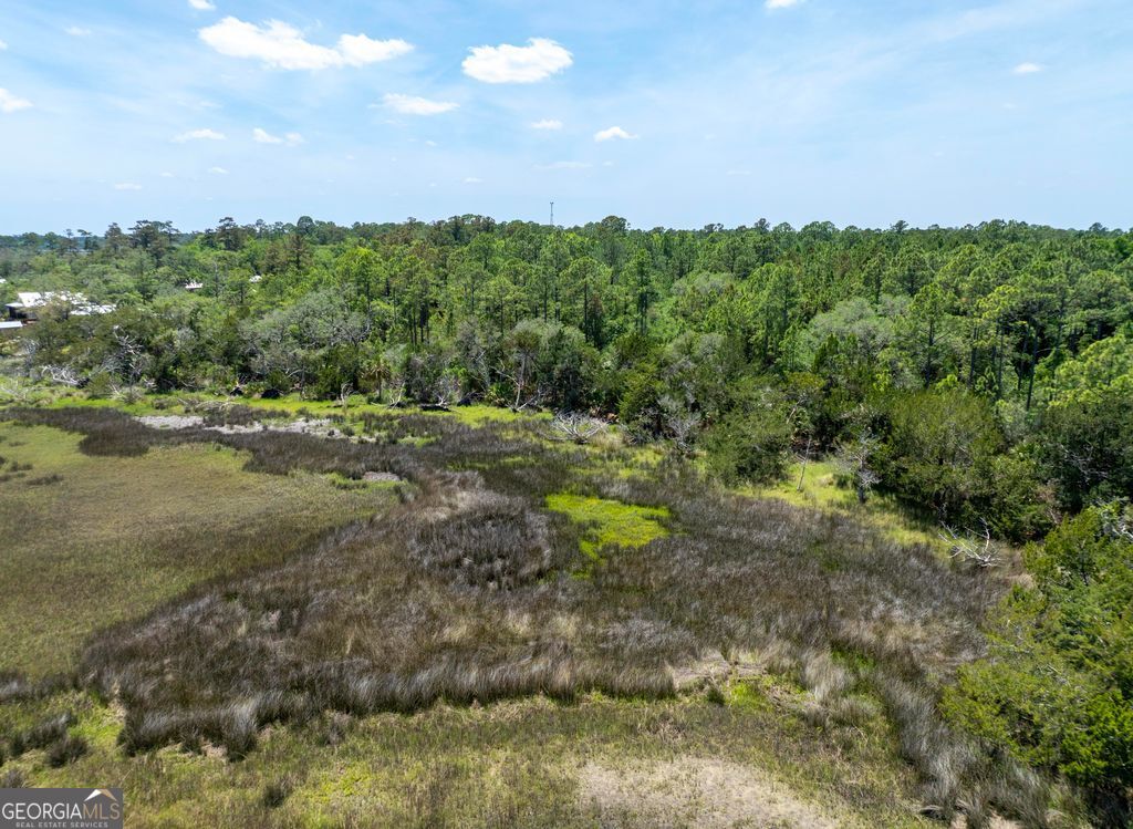 0 21 Acres Dover Bluff Road Waverly, GA 31565 - Photo 8 of 11