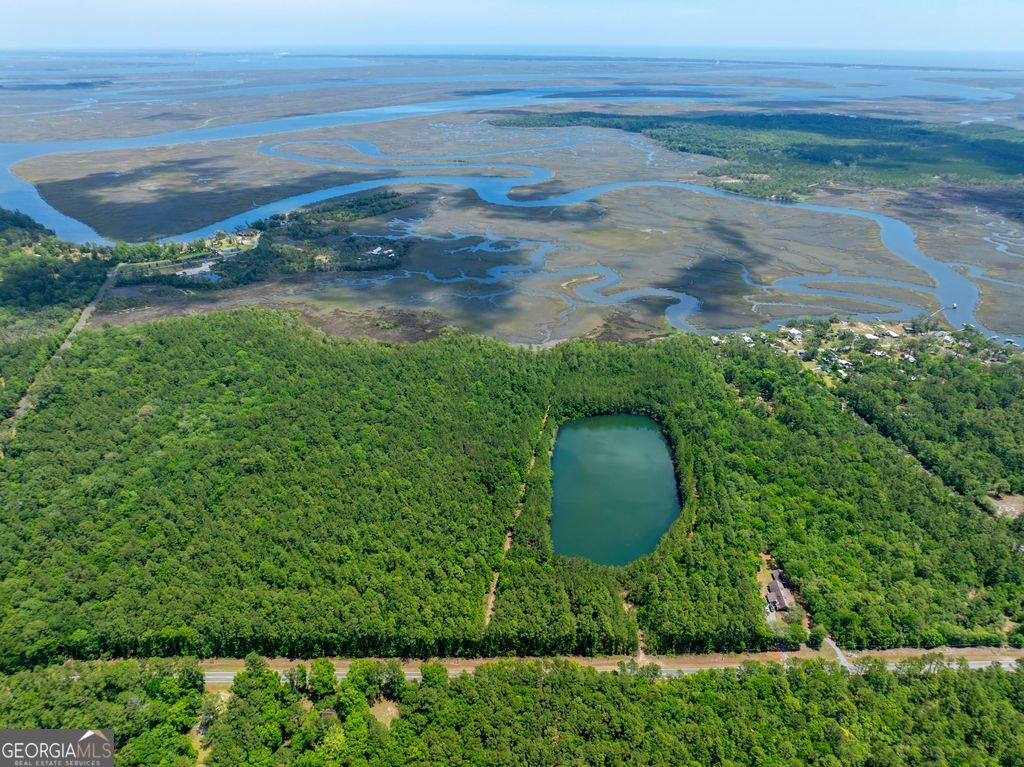 0 21 Acres Dover Bluff Road Waverly, GA 31565 - Photo 10 of 11