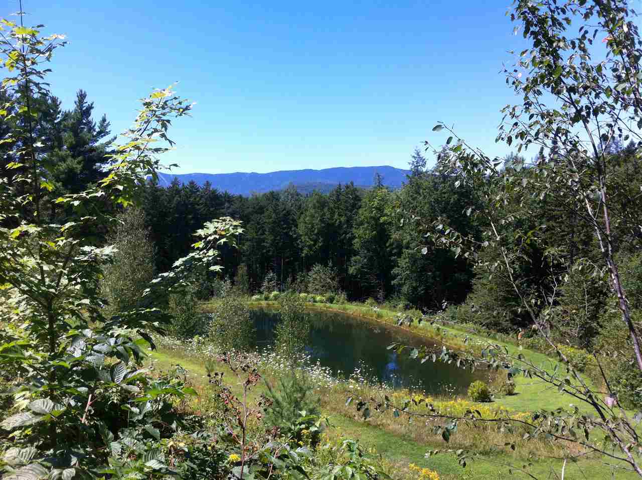 3055 East Warren Road Waitsfield, VT 05673 - Photo 11 of 30