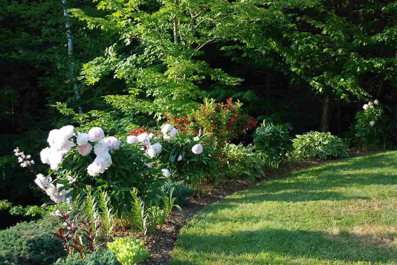 3055 East Warren Road Waitsfield, VT 05673 - Photo 24 of 30