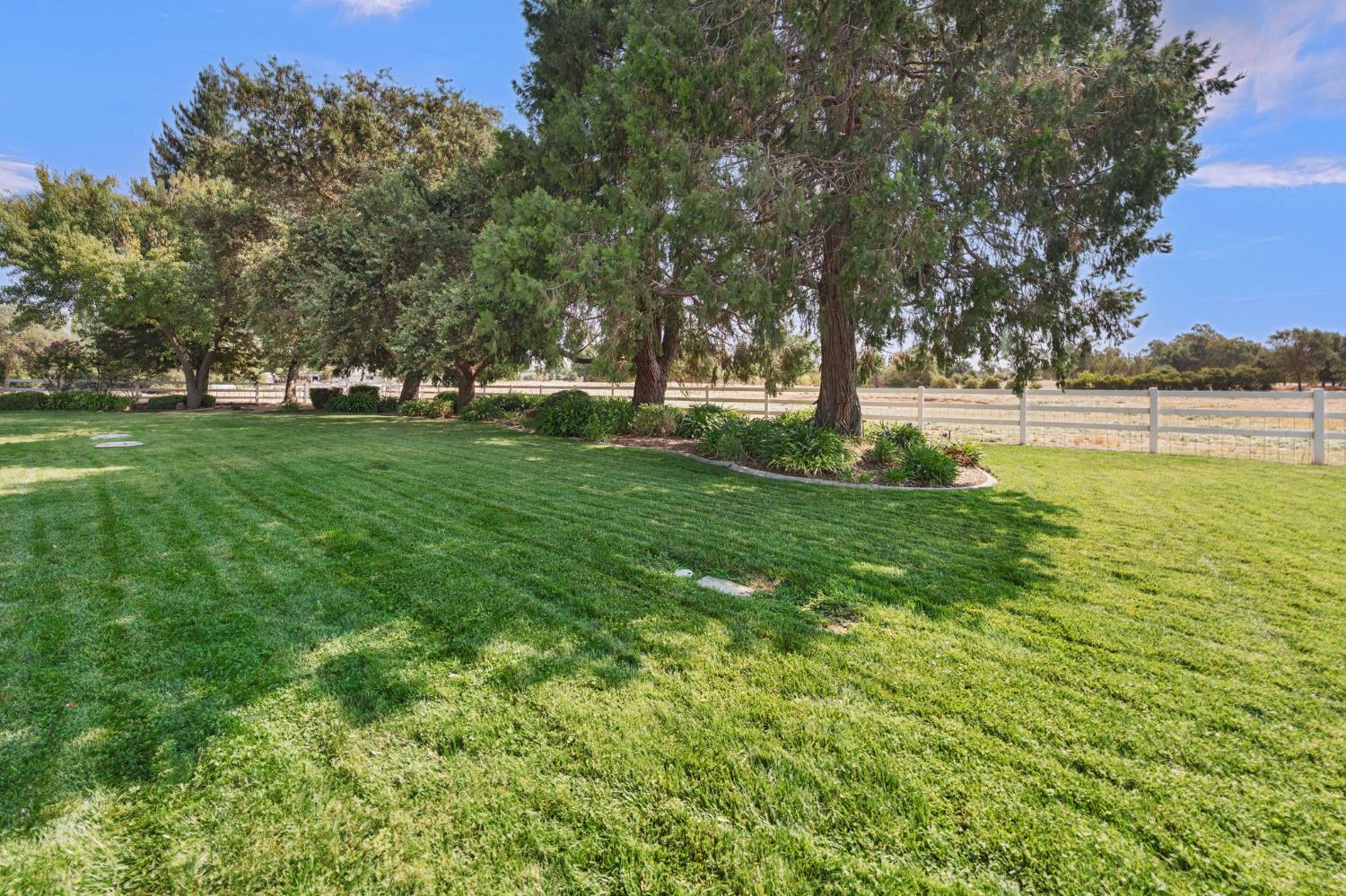 8655 Bader Road Elk Grove, CA 95624 - Photo 50 of 91 Gallery Image 50