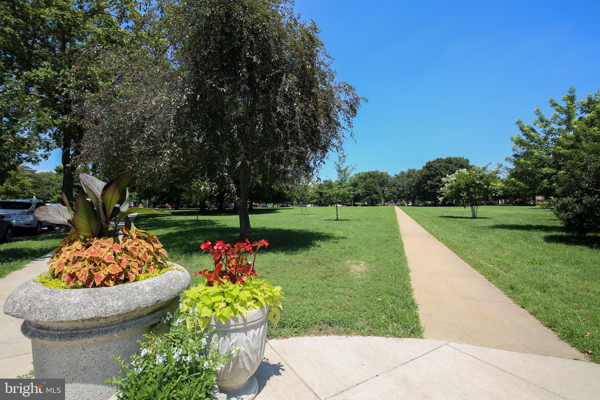 201 E Street Southeast, Unit 2 Washington, DC 20003 - Photo 19 of 26