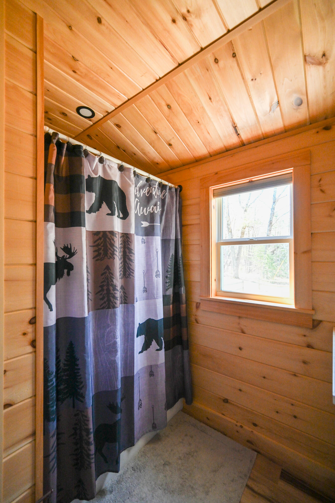 28 Dragon Back Road Naples, ME 04055 - Photo 30 of 41 Bathroom