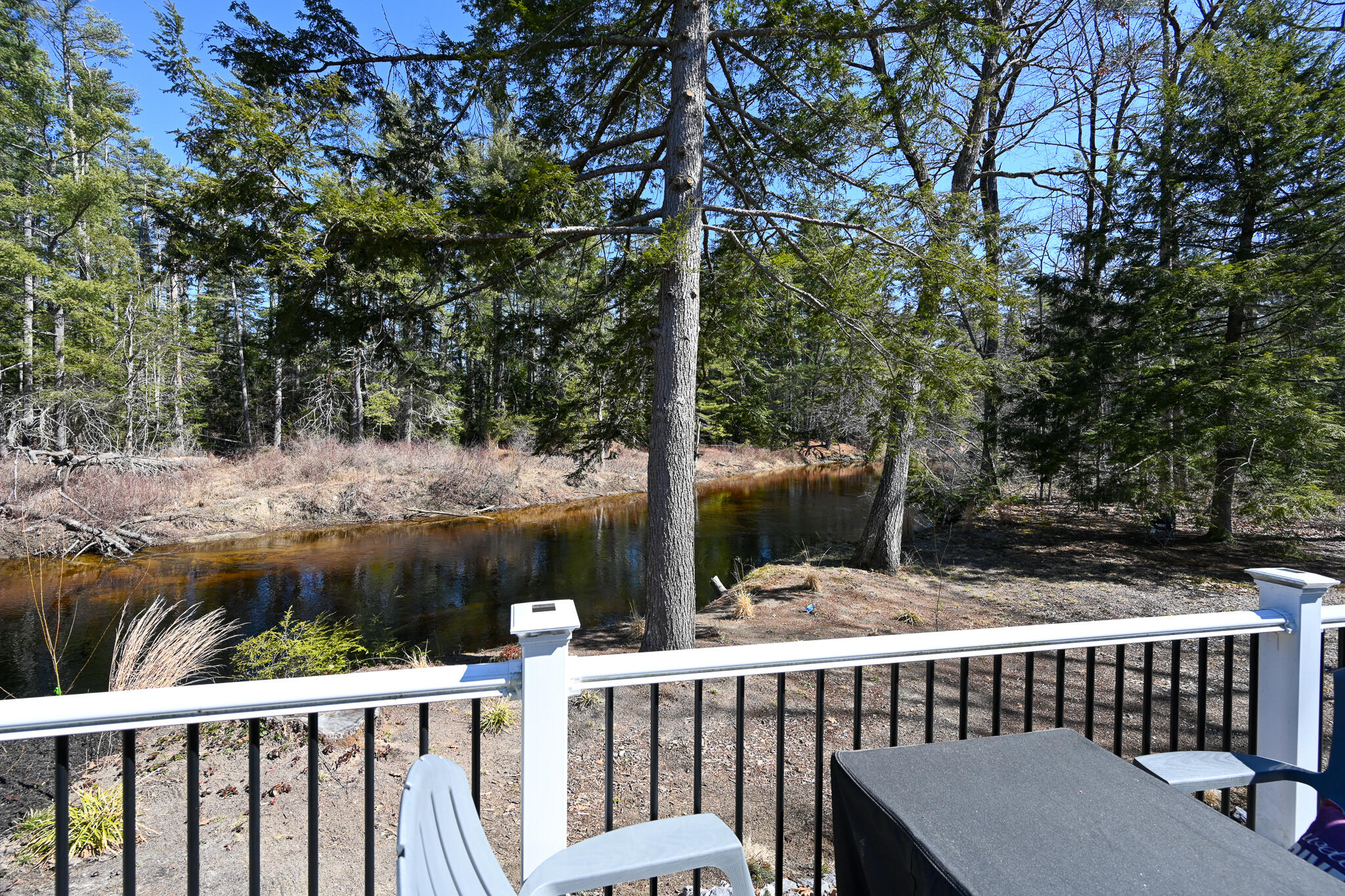 28 Dragon Back Road Naples, ME 04055 - Photo 6 of 41 Quiet, tranquil spot