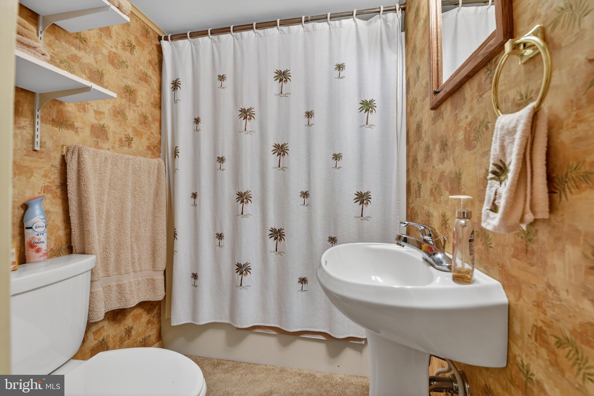 397 Pine Street Reading, PA 19611 - Photo 29 of 42 a bathroom with a sink toilet and shower