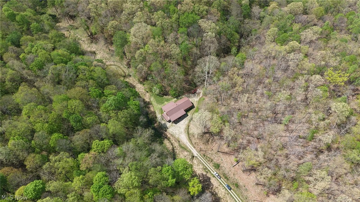 123 Foxtrot Road Looneyville, WV 25259 - Photo 20 of 50