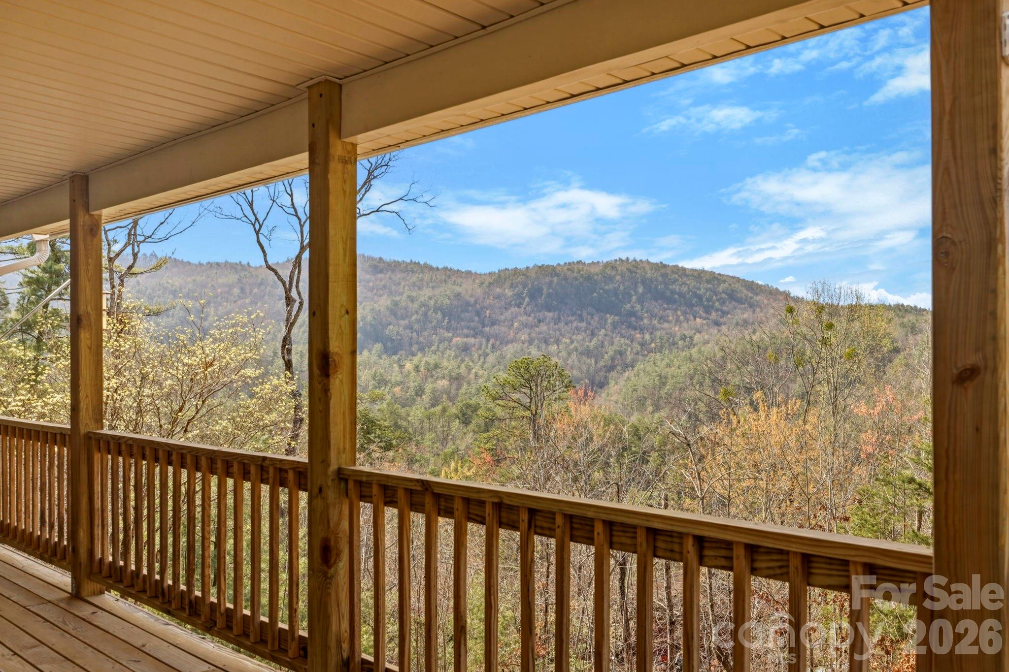 1489 Round Mountain Road Brevard, NC 28712 - Photo 4 of 48