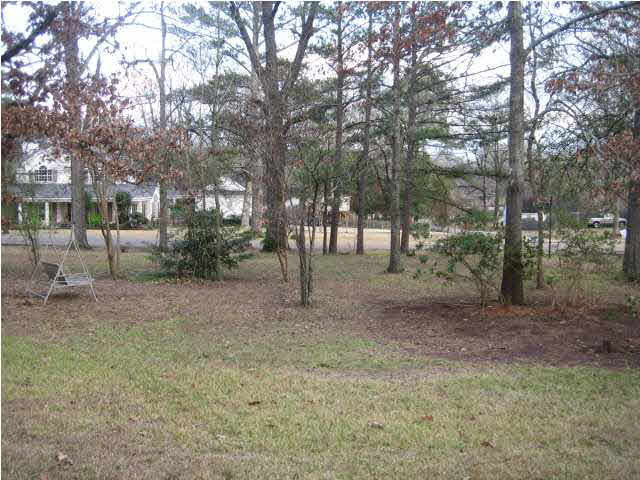222 West Porter Street Ridgeland, MS 39157 - Photo 3 of 8 Photo 3