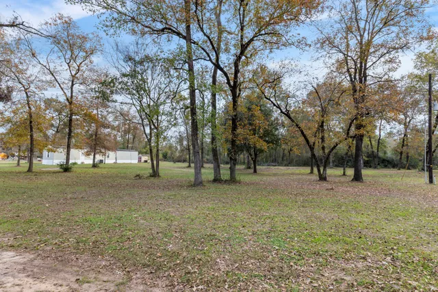 a view of a trees in a yard