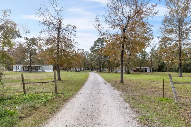 a view of park with large trees