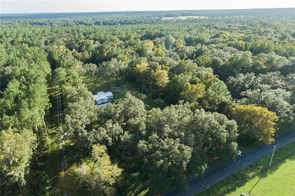10650 Northwest 190th Street Micanopy, FL 32667 - Photo 27 of 31 a view of a forest with a houses
