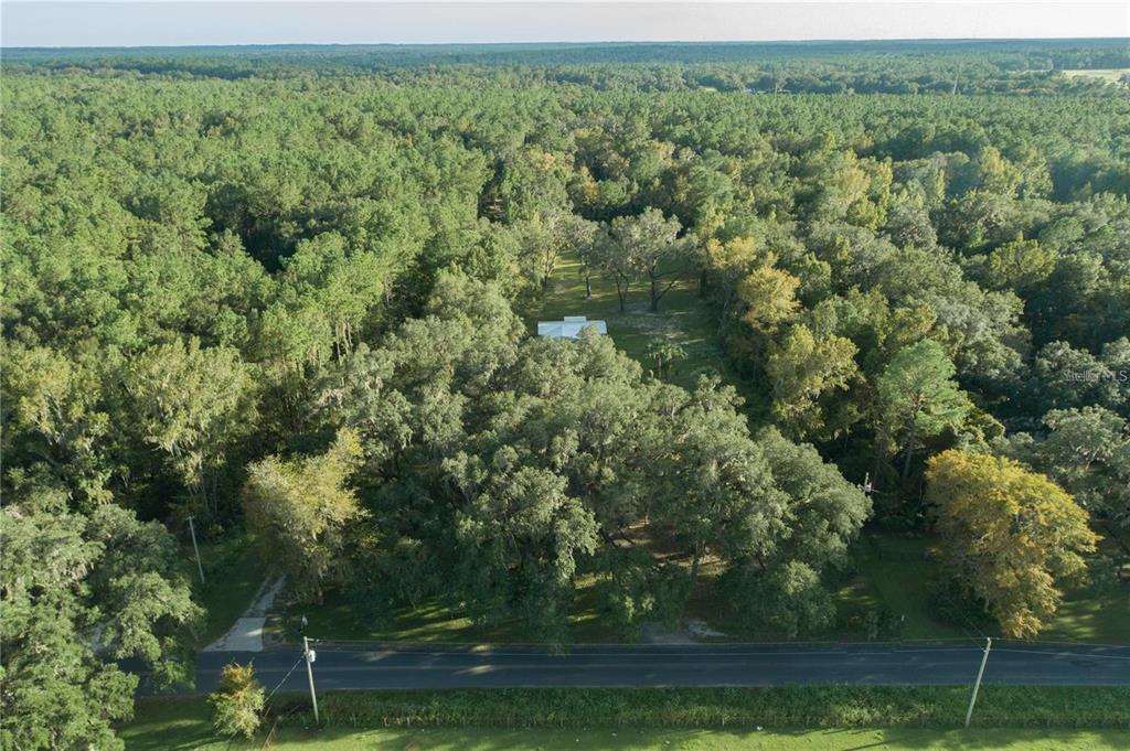 10650 Northwest 190th Street Micanopy, FL 32667 - Photo 28 of 31 an aerial view of residential houses with outdoor space and trees