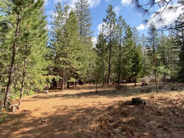 $95,000 | Lot 32 Glenhaven Court, Weed, CA 96094