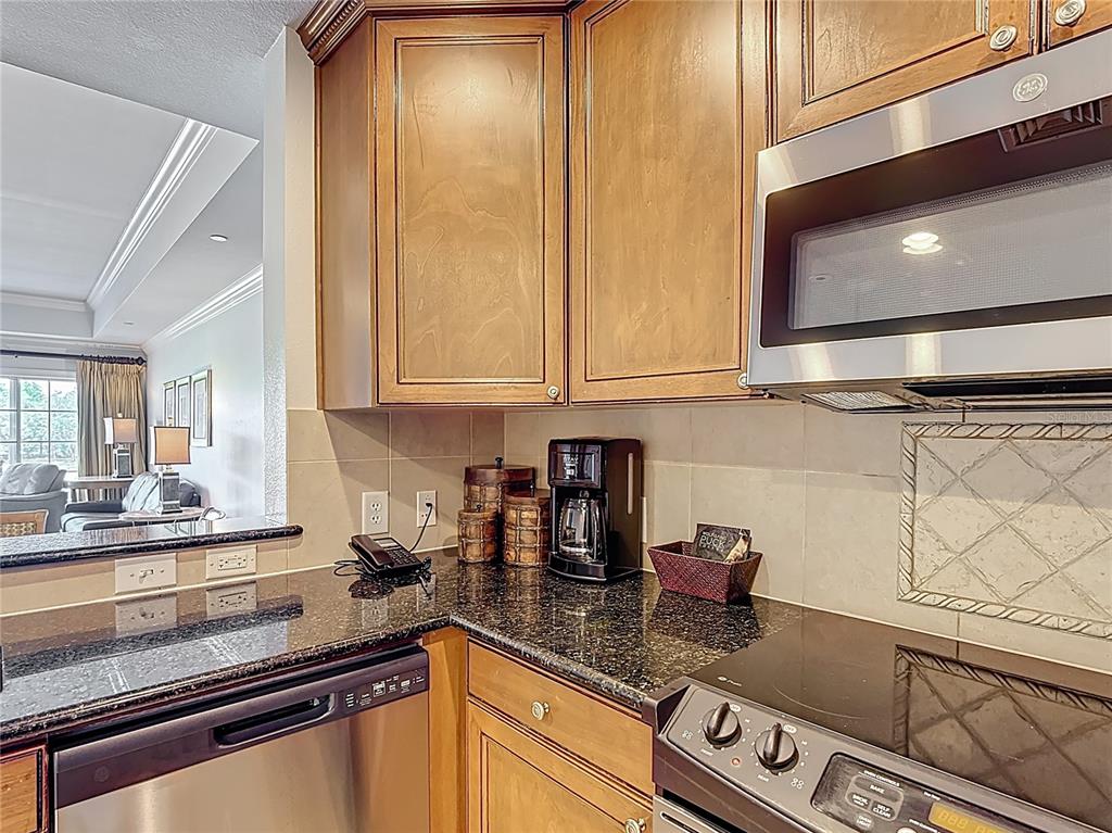 1356 Centre Ct Ridge Drive, Unit 103 Reunion, FL 34747 - Photo 10 of 53 a kitchen with stainless steel appliances granite countertop white cabinets and a counter top space