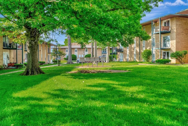 a garden with trees in front of it