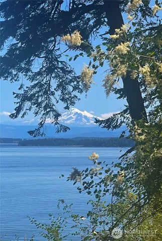 a view of a lake with a yard