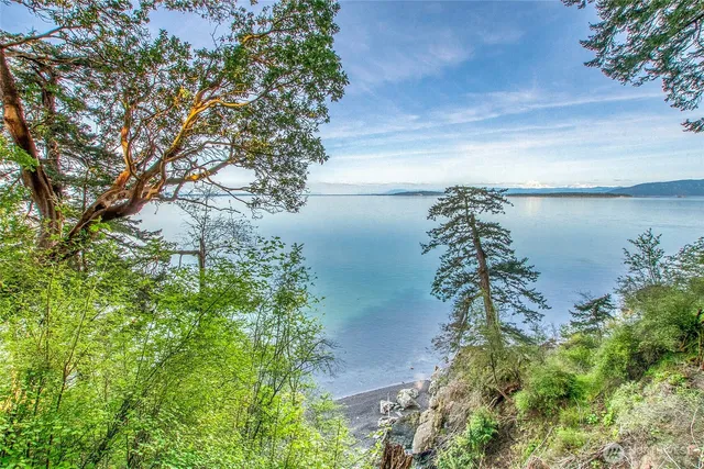 a view of a backyard with a trees