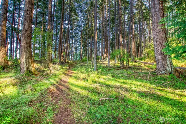 a backyard of a house with lots of green space