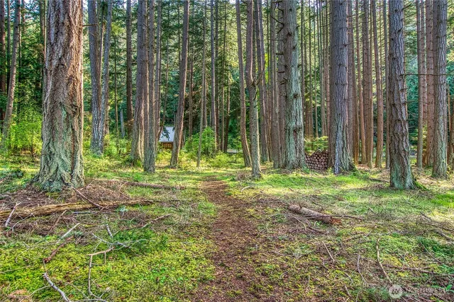 a view of a yard with a yard