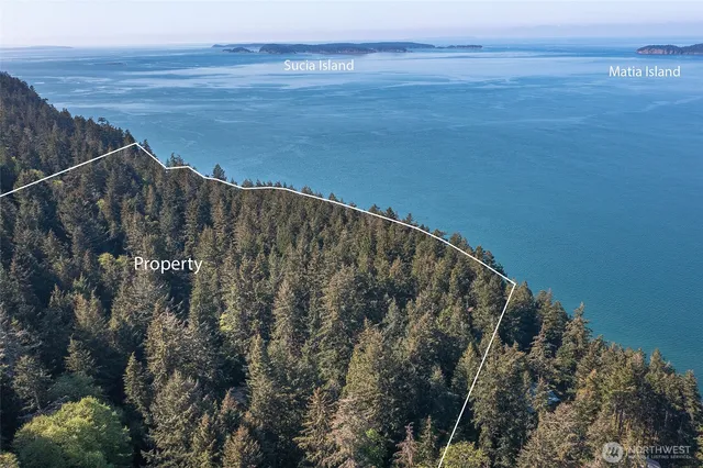 a view of a lake with large trees