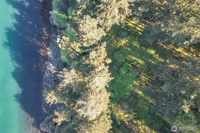 a view of backyard with deck and garden