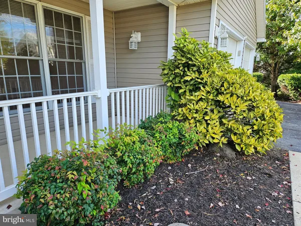 a view of a backyard with plants