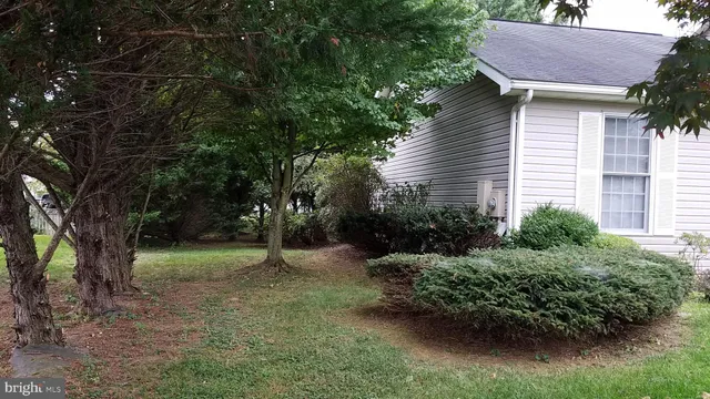 a view of backyard with green space