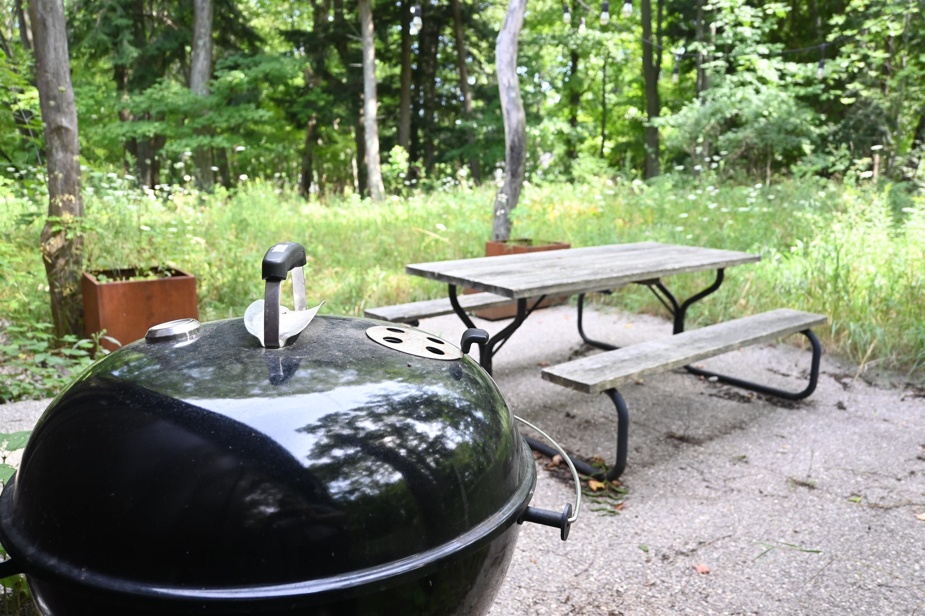 626 North Thunder Road Northport, MI 49670 - Photo 57 of 58 1947038-7435c471-7b2e-4044-836e-8274771b4ad0.JPG