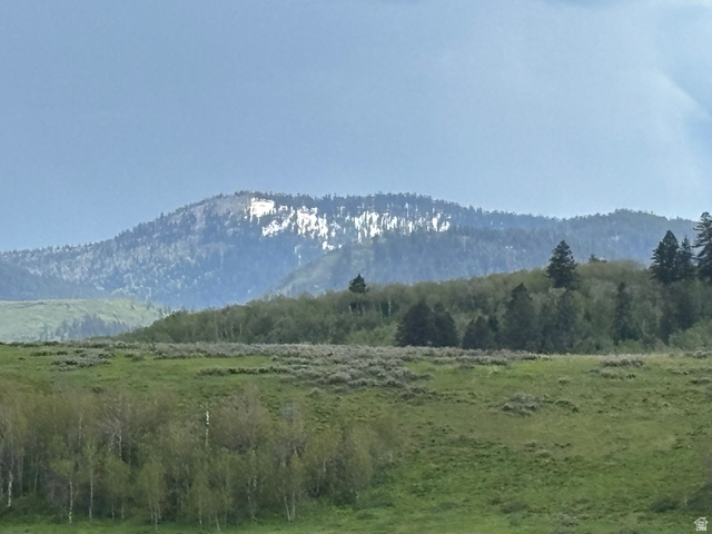 6476 Stauffer Road, Unit 4 Montpelier, ID 83254 - Photo 4 of 17 Expansive mountain landscape featuring a prominent forested hillside