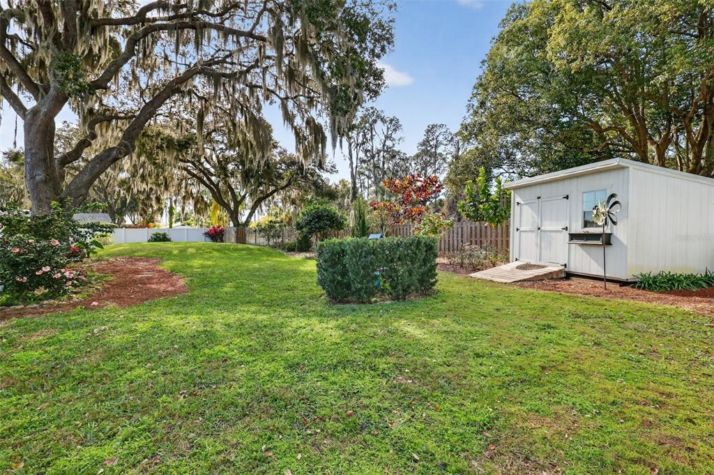 241 Bay Road Mount Dora, FL 32757 - Photo 45 of 57 a view of backyard with garden and entertaining space